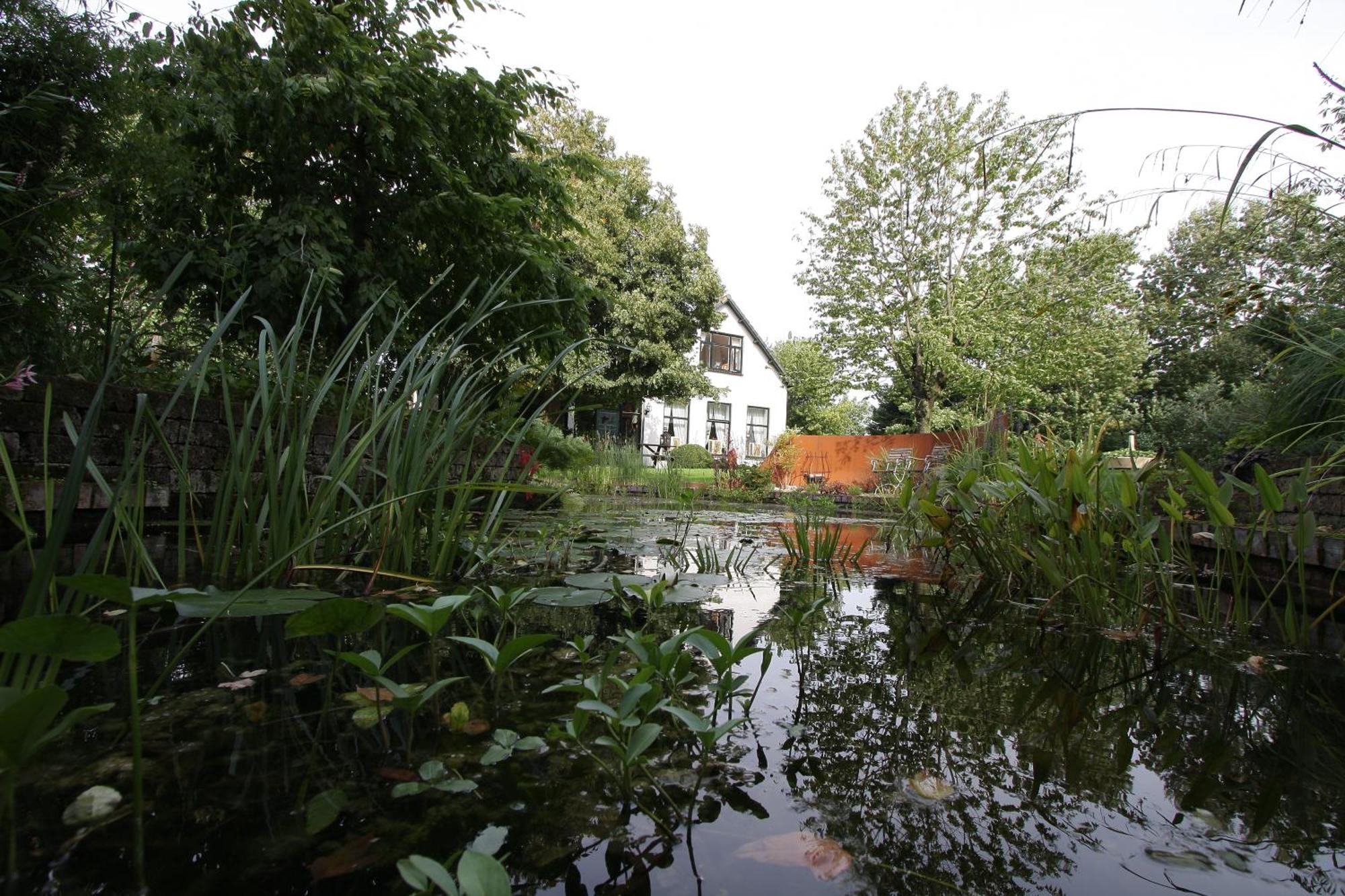 Bed and Breakfast De Witte Wolk à Nieuw-Scheemda Extérieur photo